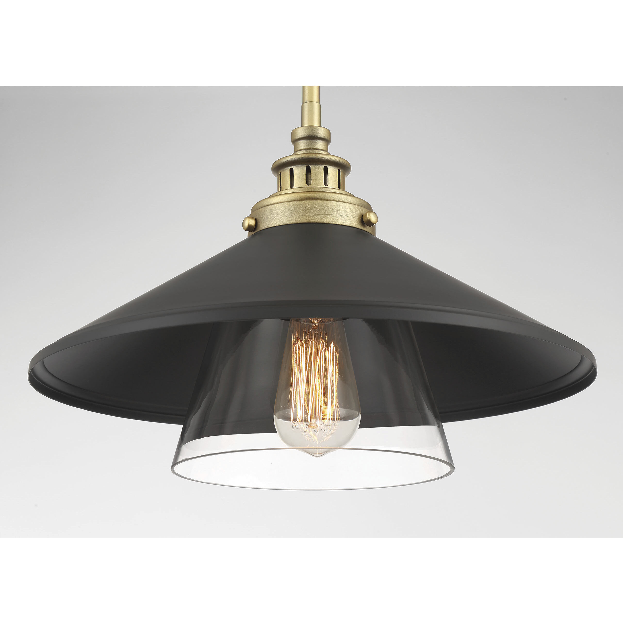 Segan 1 Light 15 inch Coal & Soft Brass (Painted) Mini Pendant Ceiling Light, Outdoor